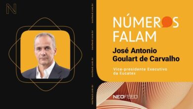 Foto de O “ativo invisível” por trás do resultado da Eucatex