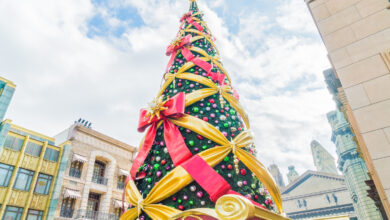 Foto de Luau, casa do Bom Velhinho, projeções…