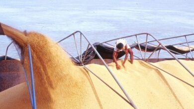 Foto de Hidrovias do Arco Norte ganham protagonismo na logística do agronegócio brasileiro em 2025