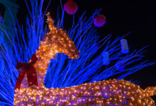 Foto de Veja as atrações natalinas na região de São…