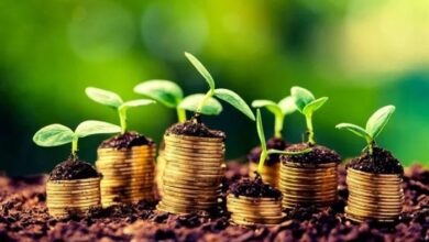 Foto de Aprovada lei que libera recursos da taxa CDO…