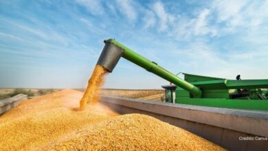 Foto de Déficit de armazenagem redefine o mercado de grãos no Brasil em meio à safra recorde, analisa Biond Agro