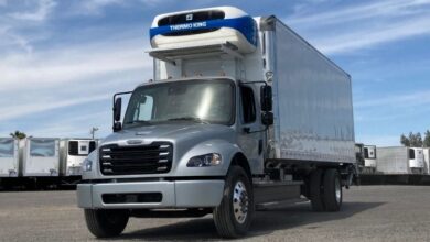 Foto de Eletrificação e rastreamento devem acelerar o transporte refrigerado no Brasil em 2026, comenta Thermo King