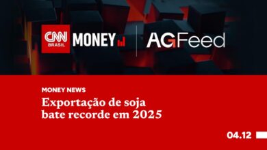 Foto de Exportações de soja devem bater recorde