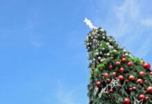 Foto de Com plantio de árvores, caravana do Papai Noel e espetáculos, regiões de Itapeva e Registro celebram o Natal