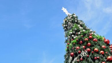Foto de Com plantio de árvores, caravana do Papai Noel e espetáculos, regiões de Itapeva e Registro celebram o Natal