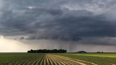 Foto de Chuva forte avança pelo sul e centro do…