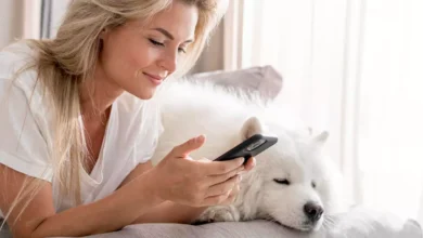 Foto de Cobasi usa IA para automação, gamificação em loja e assistente virtual de vendas