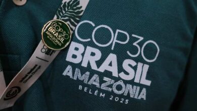 Foto de Agricultura além da COP e as lições que devemos levar de Belém