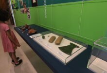 Foto de Exposição mostra achados arqueológicos sobre origens da cidade de SP