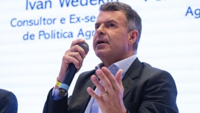 Foto de Buranello vê irracionalidade destrutiva nas…