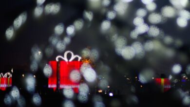 Foto de Hoje é Dia: datas, fatos e feriados de dezembro de 2025