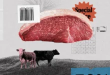 Foto de Preços da picanha e do filé mignon caem em 2025, mas ‘ciclo do boi’ aponta para alta em 2026