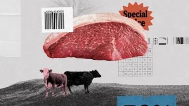 Foto de Preços da picanha e do filé mignon caem em 2025, mas ‘ciclo do boi’ aponta para alta em 2026