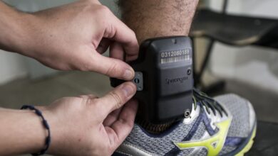 Foto de Audiência de custódia virtual reduz garantia de direitos, diz estudo