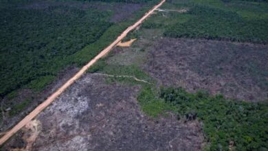 Foto de O cabo de guerra do “trecho do meio” da rodovia Manaus-Porto Velho, que espera o asfalto há 40 anos