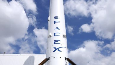 Foto de Às vésperas do IPO, SpaceX amplia vantagem competitiva na corrida espacial