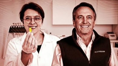 Foto de Agtech Agriodor leva “perfume” ao campo para combater pragas, com foco no Brasil